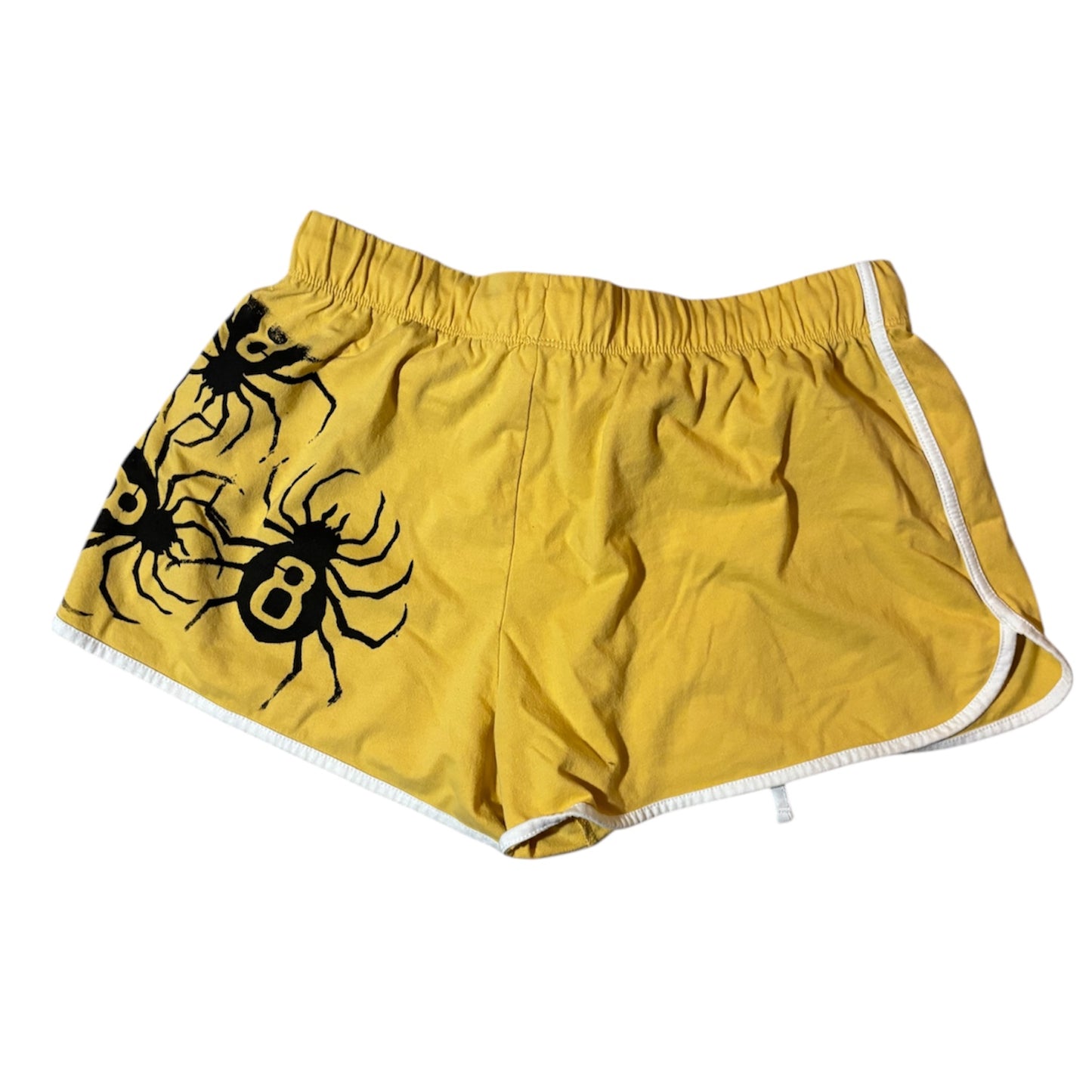 summer spiders