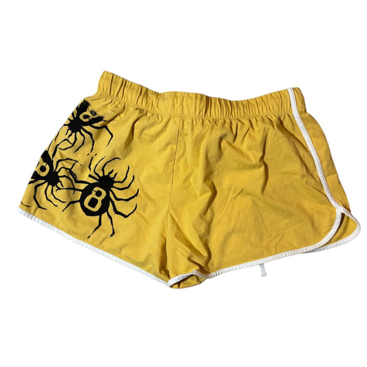 summer spiders
