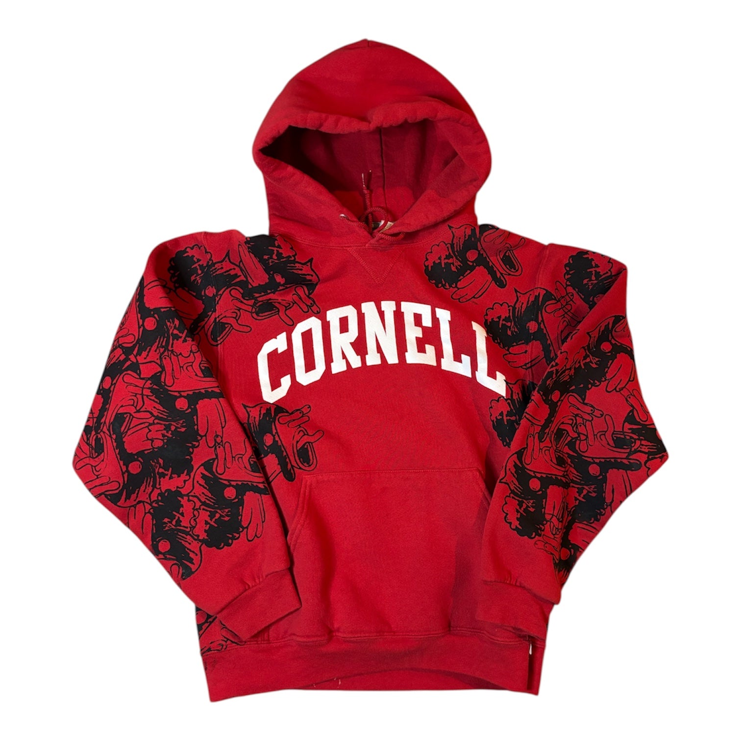 lied my way to ivy leagues